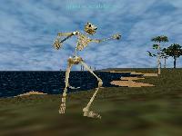 Skelly Dance!