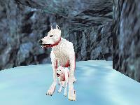 Wolves