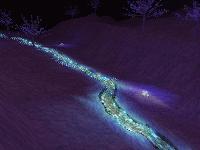 Midnight in the Snow