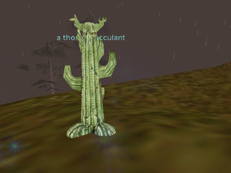 Cactus!