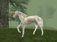 Equestrielle