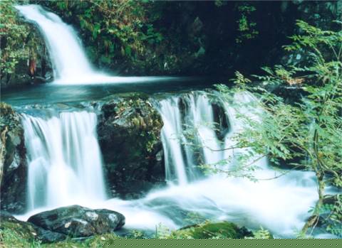 Slow shutter-speed and a good tripod, for this effect!