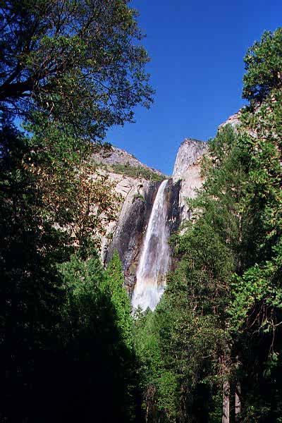 Bridal veil