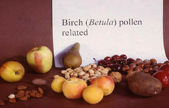 kiwi allergi symptom kiwi allergi symptom