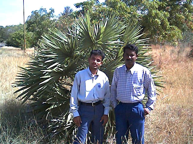 D.Alex,M.L.I.Sc & LourdhuRaj,M.L.I.Sc.,