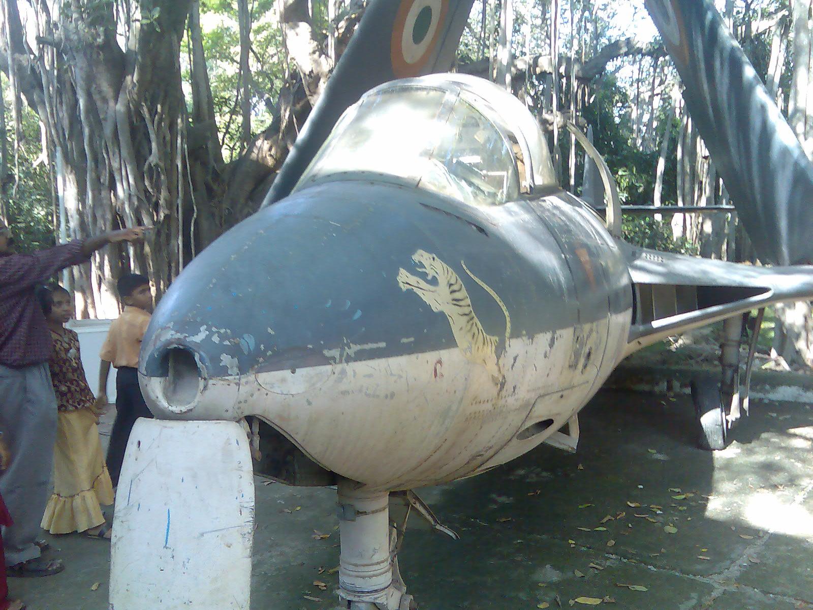 Sea Hawk