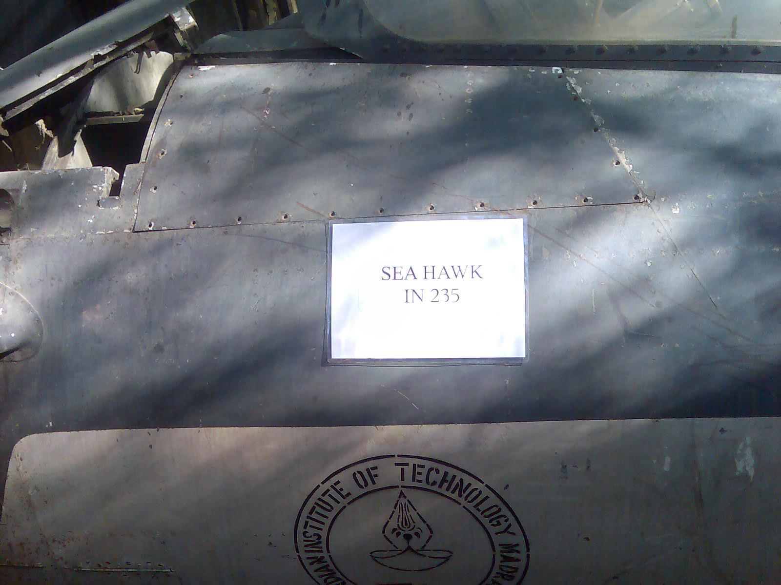 Sea Hawk