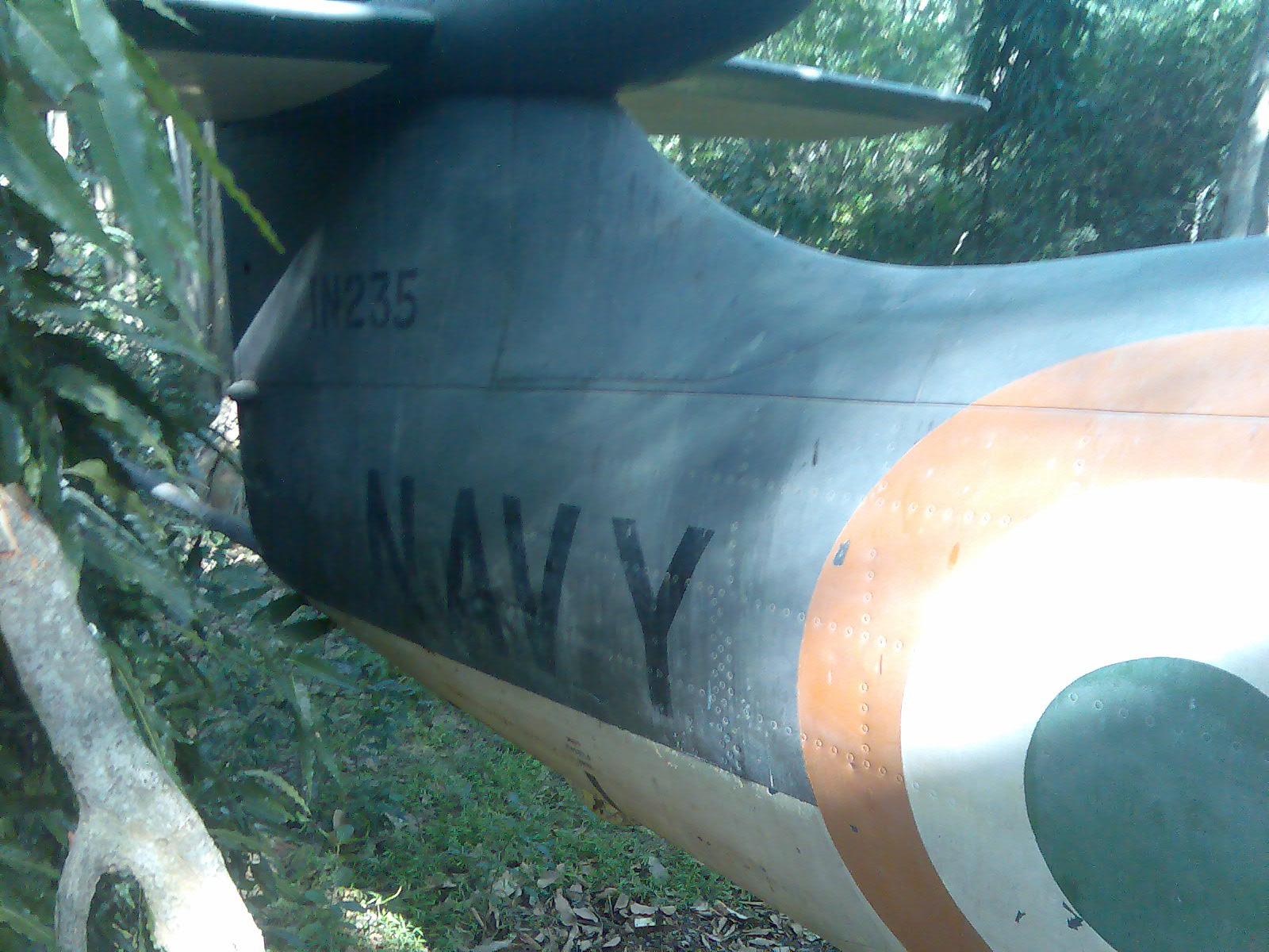 Sea Hawk