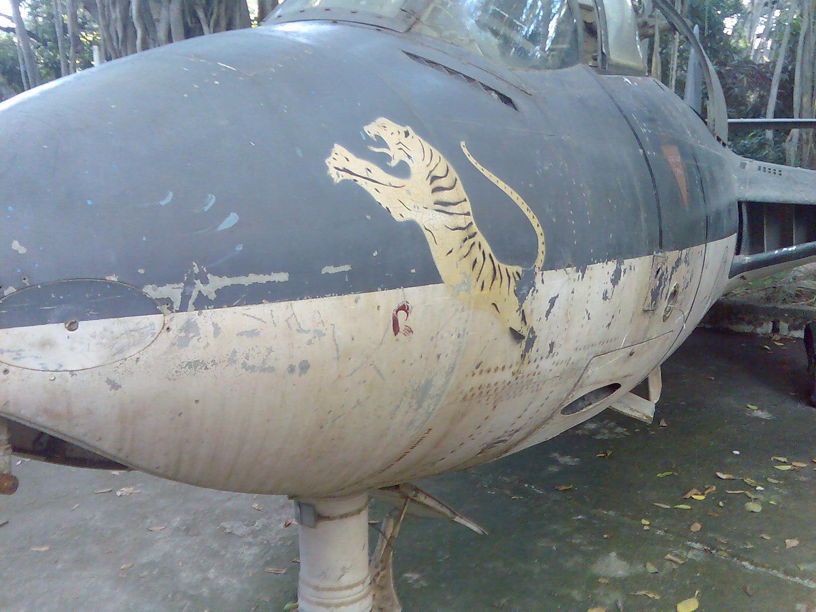 Sea Hawk