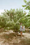 holly1.jpg (54977 bytes)
