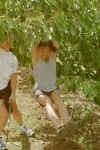 swinging.jpg (52312 bytes)
