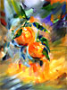 still life