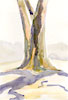 tree (watercolor)