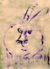 unnamed image
