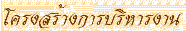 struct1.gif (13612 bytes)
