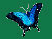 \ \ \ surfacing