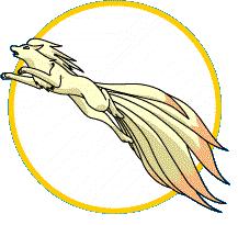 00bestNinetailes