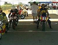 The 1st place winner