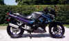 Ninja2.JPG (103891 bytes)