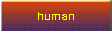 human