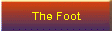 The Foot