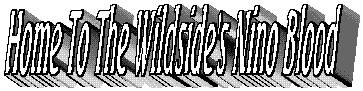 httwsnb.gif - 6617 Bytes