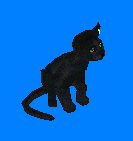Black Cat