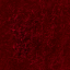 Burgundy Carpet