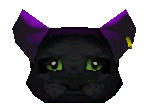 Catman Head
