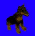 Doberman