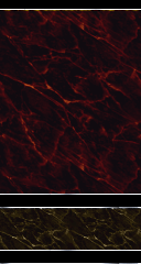 Red Marble Walls