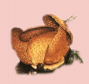 RafflesiaArnoldi