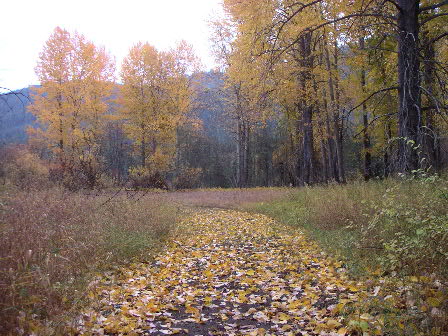 Path near Lake Wenatchee...