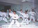 dojo.jpg