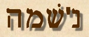 nishmah