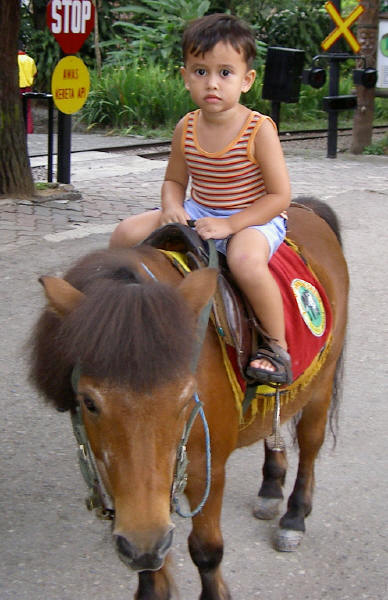 Pony ride