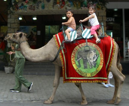 Camel ride with Sophie