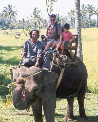 Elephant