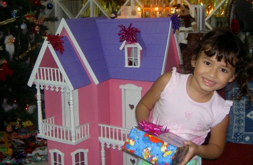 doll house tall house