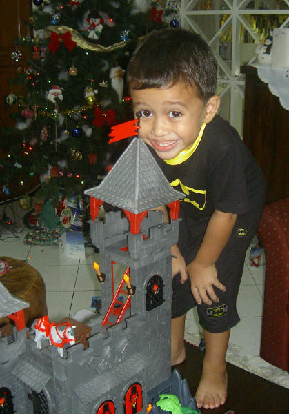 Dragon Castle