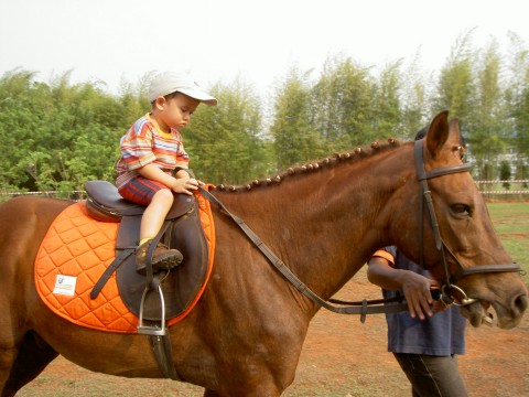 Horse ride