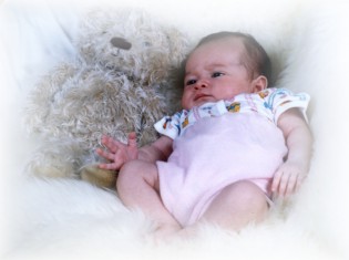 Teddy & Biene