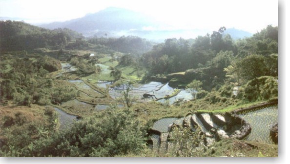 Tana Toraja. Sulawesi