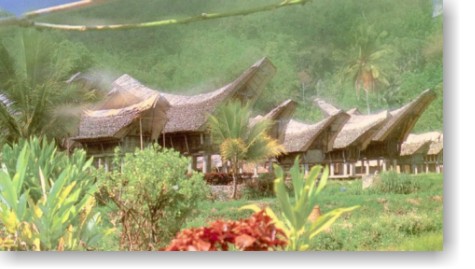 Tana Toraja 1