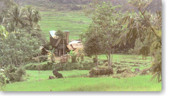 Toraja 2