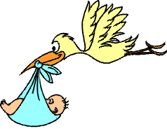 Stork