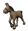 Hew haw !