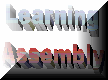 Go to Assembler and Sysprog Guide