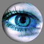 womaneye.gif (54635 bytes)
