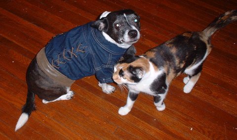 Sparky and Patches